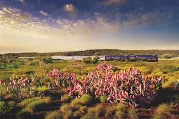 Indian Pacific Passage – Sydney to the Coral Coast